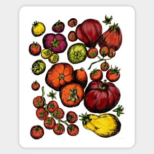 Colorful Heirloom Tomatoes Magnet